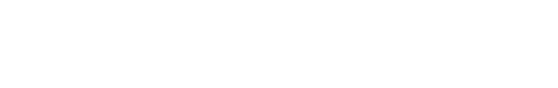 Dark Star logo