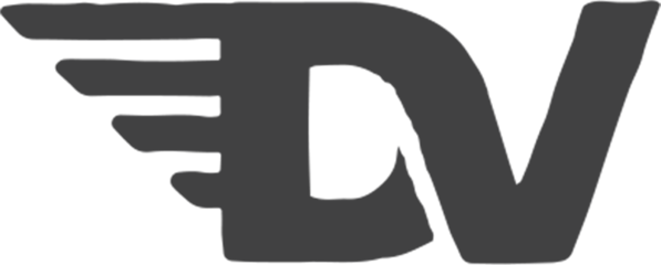 Degausser Video logo